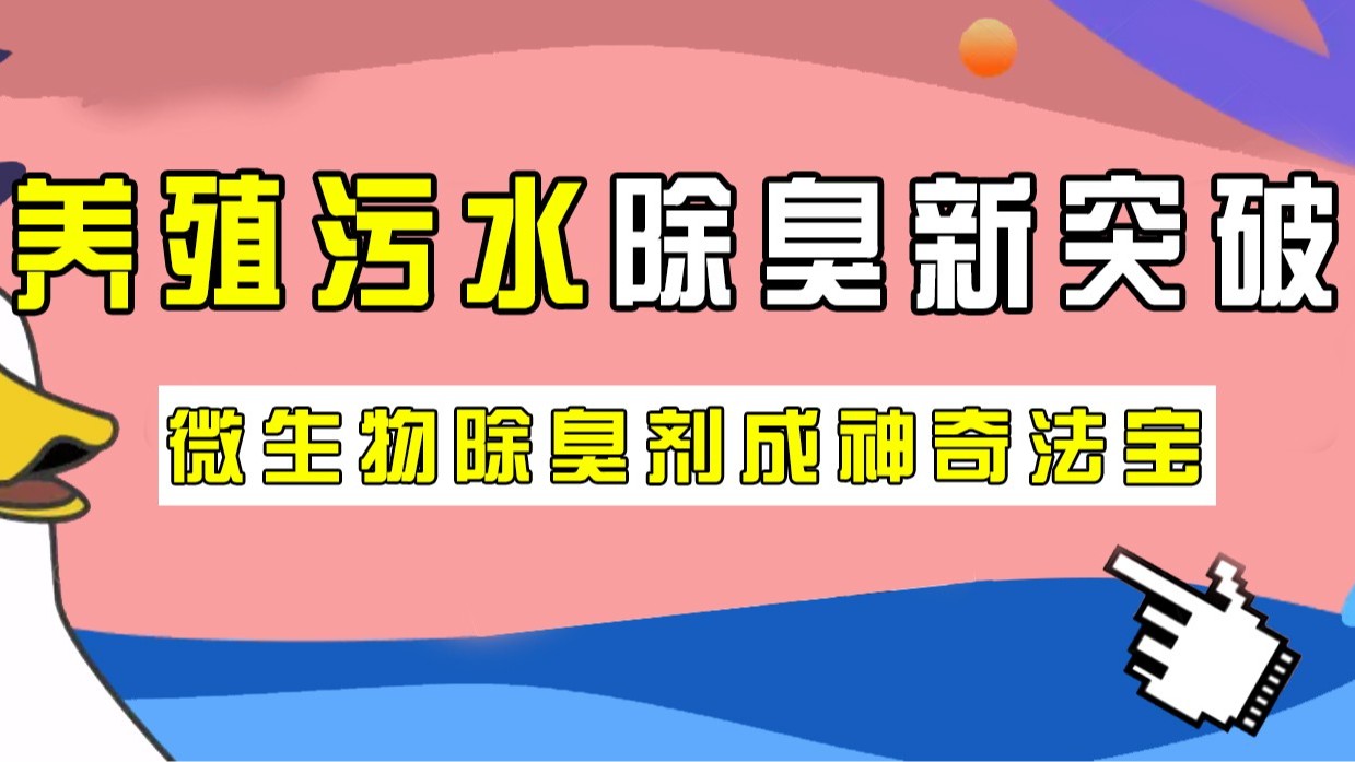 养殖污水除臭新突破，微生物除臭剂成神奇法宝